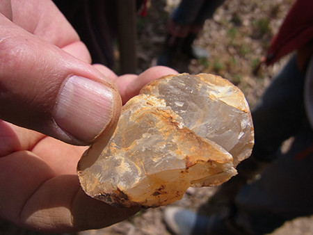 f:id:Naturalhistory:20140419124734j:image