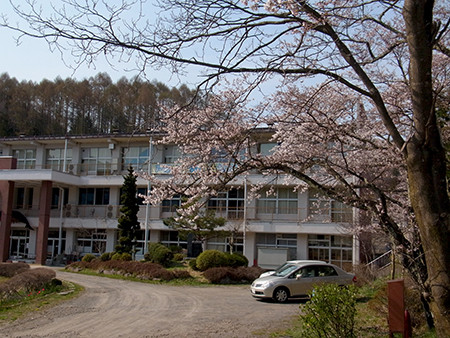 f:id:Naturalhistory:20140425150229j:image