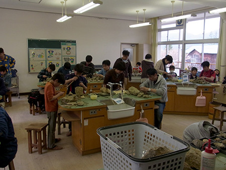 f:id:Naturalhistory:20140505142309j:image