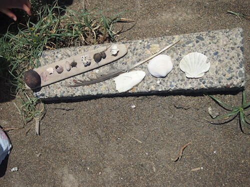 f:id:Naturalhistory:20140518114114j:image