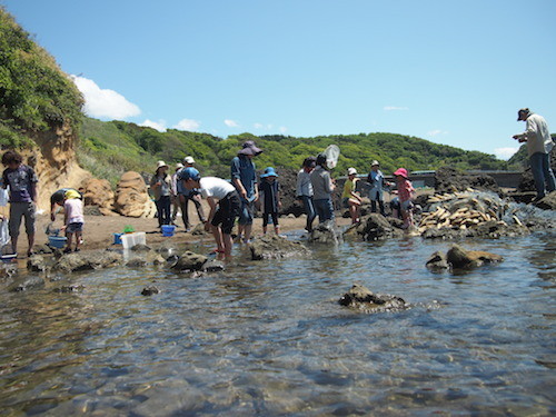 f:id:Naturalhistory:20140518124943j:image