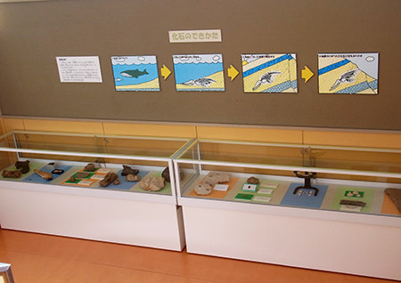 f:id:Naturalhistory:20140521165108j:image