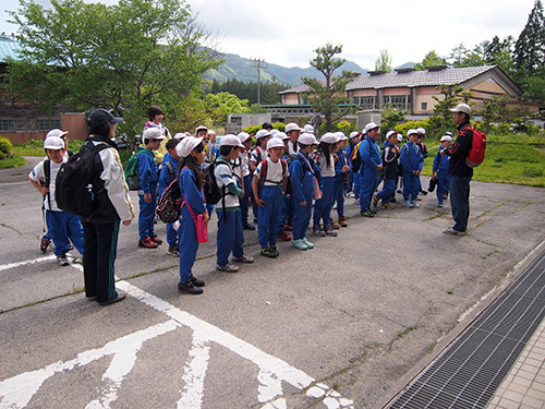 f:id:Naturalhistory:20140523142059j:image