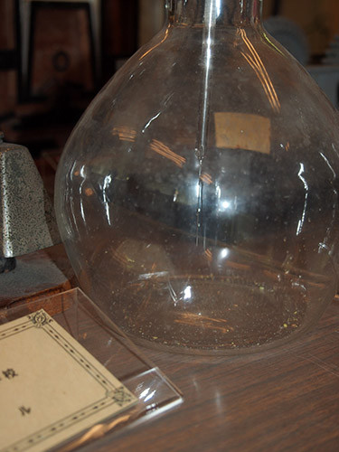 f:id:Naturalhistory:20140525134600j:image f:id:Naturalhistory:20140525134600j:image