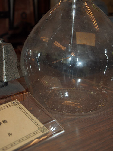 f:id:Naturalhistory:20140525134604j:image f:id:Naturalhistory:20140525134604j:image
