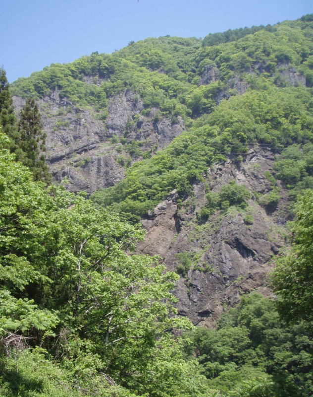 f:id:Naturalhistory:20140601102408j:image:w360