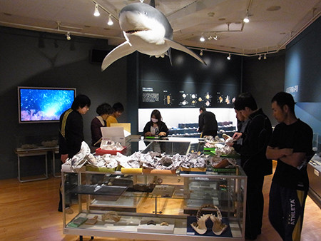 f:id:Naturalhistory:20140606135450j:image