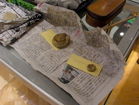 f:id:Naturalhistory:20140606141357j:image
