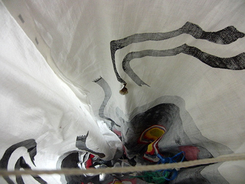 f:id:Naturalhistory:20140611131410j:image