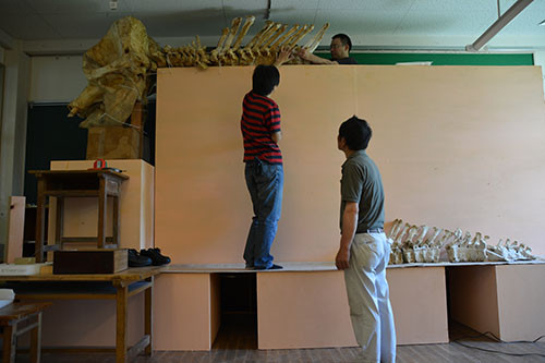 f:id:Naturalhistory:20140705133051j:image