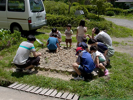 f:id:Naturalhistory:20140721120807j:image