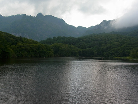 f:id:Naturalhistory:20140721164931j:image