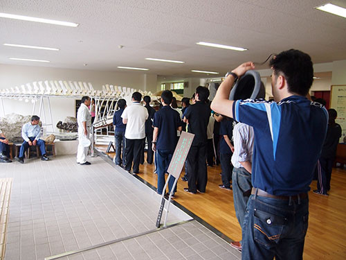 f:id:Naturalhistory:20140805161055j:image