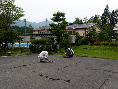 f:id:Naturalhistory:20140813170534j:image