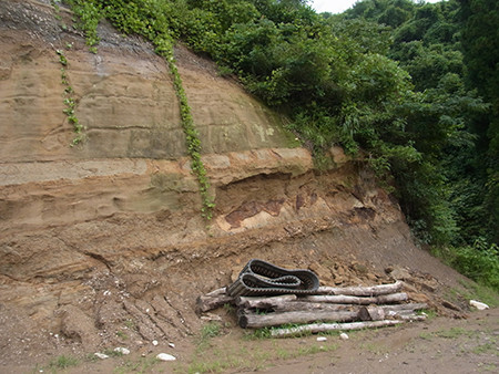 f:id:Naturalhistory:20140821112223j:image