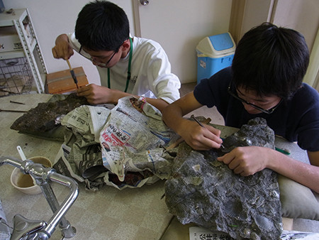 f:id:Naturalhistory:20140822151552j:image