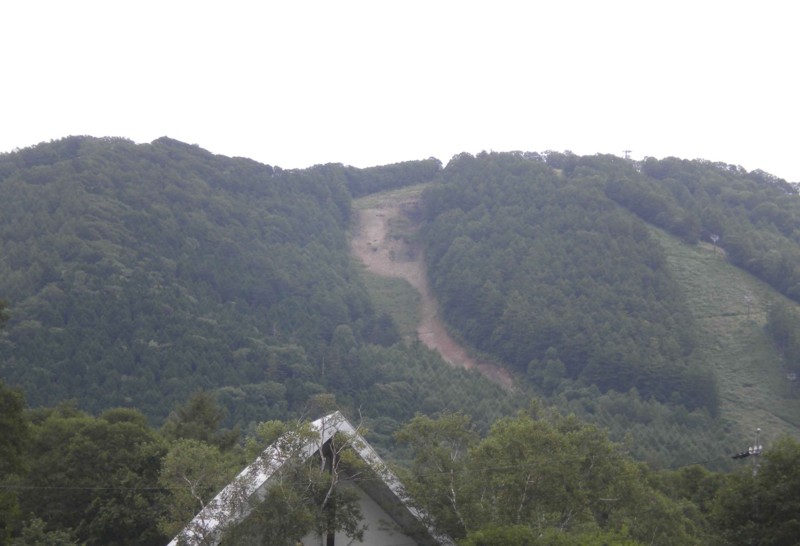 f:id:Naturalhistory:20140824093615j:image