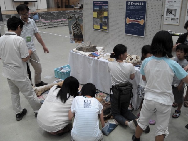 f:id:Naturalhistory:20140824150112j:image