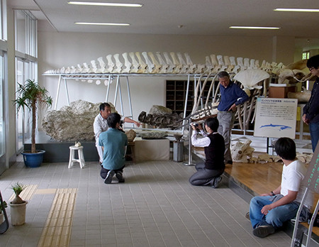 f:id:Naturalhistory:20140828150544j:image