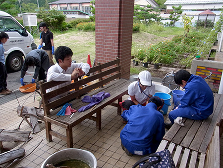 f:id:Naturalhistory:20140828150627j:image