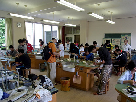 f:id:Naturalhistory:20140829132523j:image