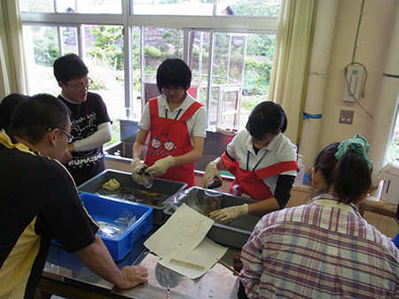 f:id:Naturalhistory:20140831151309j:image