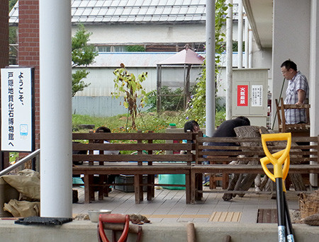 f:id:Naturalhistory:20140905170325j:image