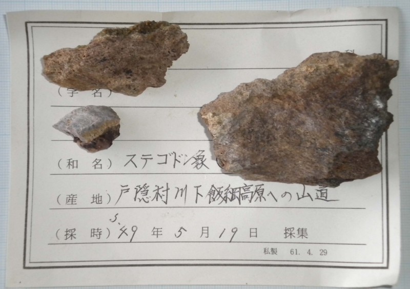 f:id:Naturalhistory:20140913163949j:image