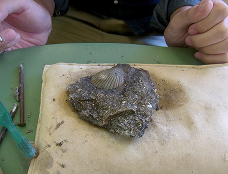 f:id:Naturalhistory:20140921141016j:image