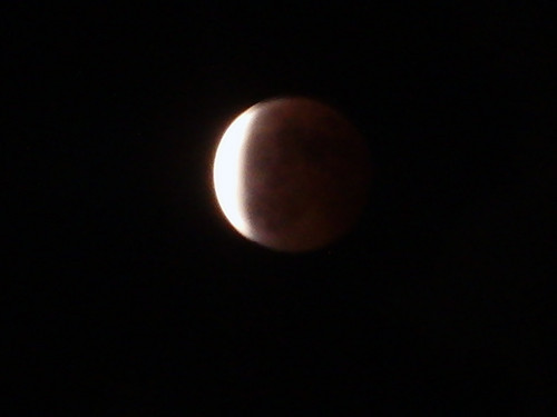 f:id:Naturalhistory:20141008203940j:image