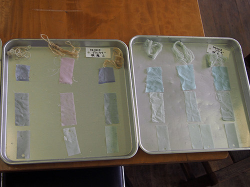 f:id:Naturalhistory:20141013112949j:image