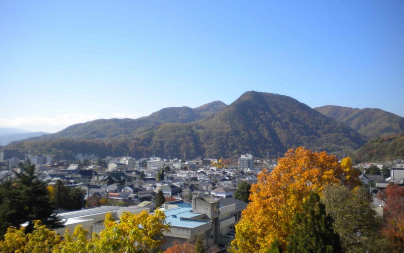 f:id:Naturalhistory:20141106105648j:image:w640