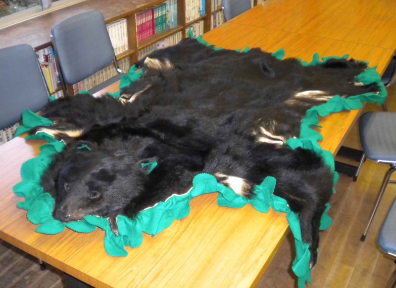 f:id:Naturalhistory:20141112162611j:image:w480 f:id:Naturalhistory:20141112162611j:image:w480