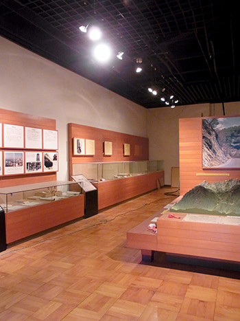 f:id:Naturalhistory:20141129115106j:image