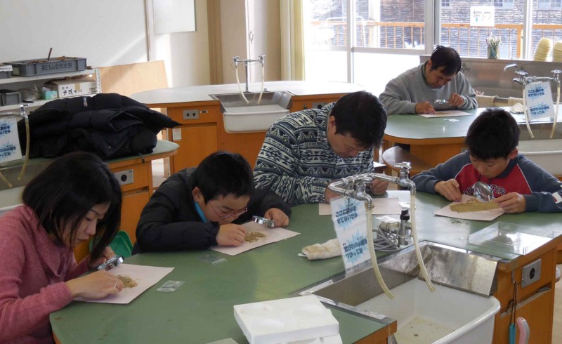 f:id:Naturalhistory:20141206135127j:image:w360