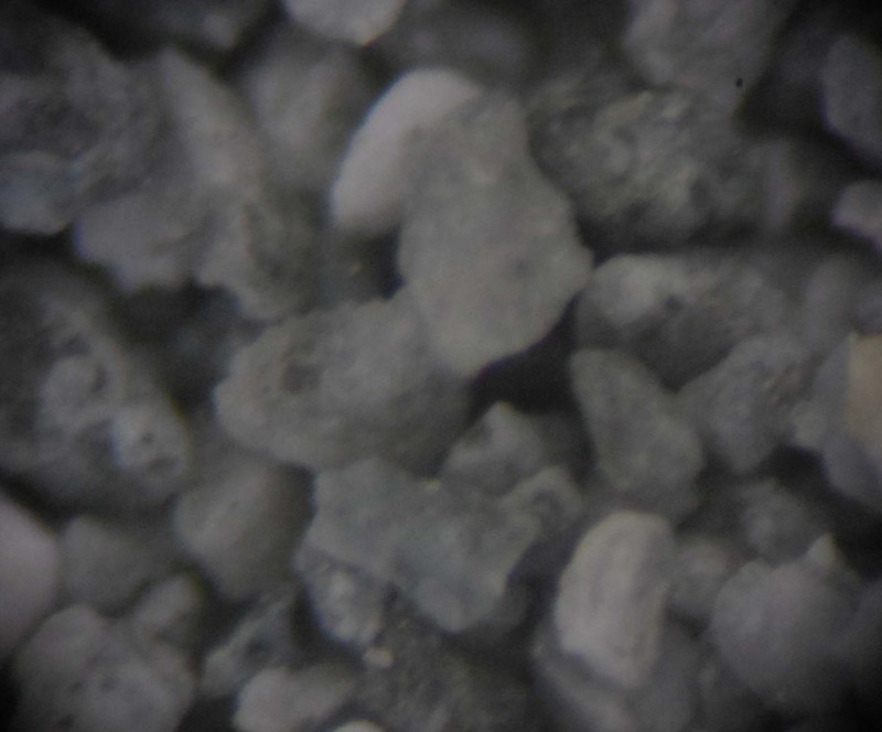 f:id:Naturalhistory:20141206135150j:image:w360