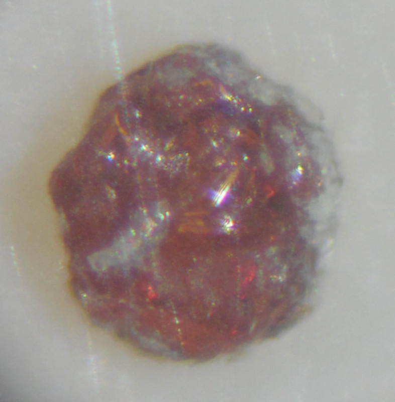 f:id:Naturalhistory:20141206154147j:image:w360