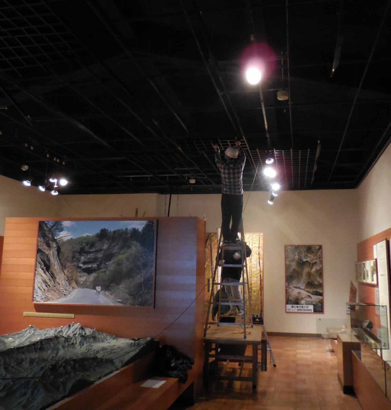 f:id:Naturalhistory:20141210132736j:image:w480