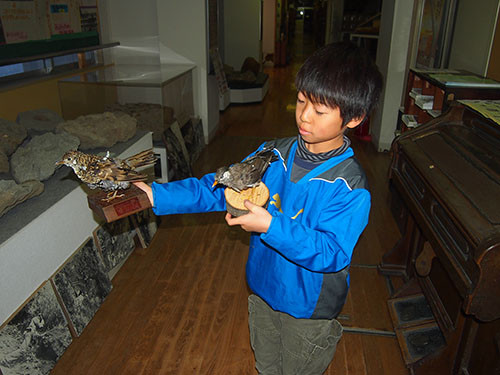 f:id:Naturalhistory:20141214164540j:image