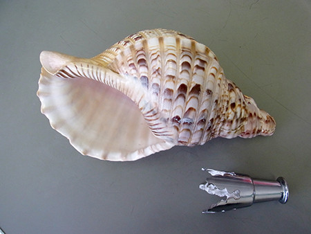 f:id:Naturalhistory:20141216144449j:image f:id:Naturalhistory:20141216144449j:image