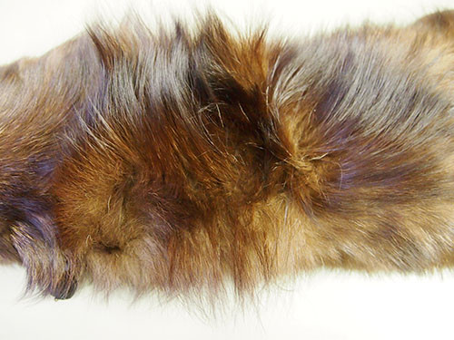 f:id:Naturalhistory:20141218164336j:image