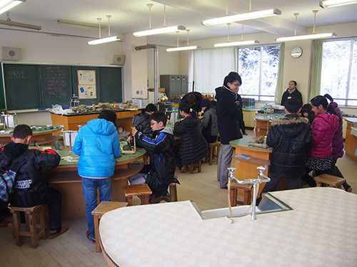 f:id:Naturalhistory:20141225153019j:image