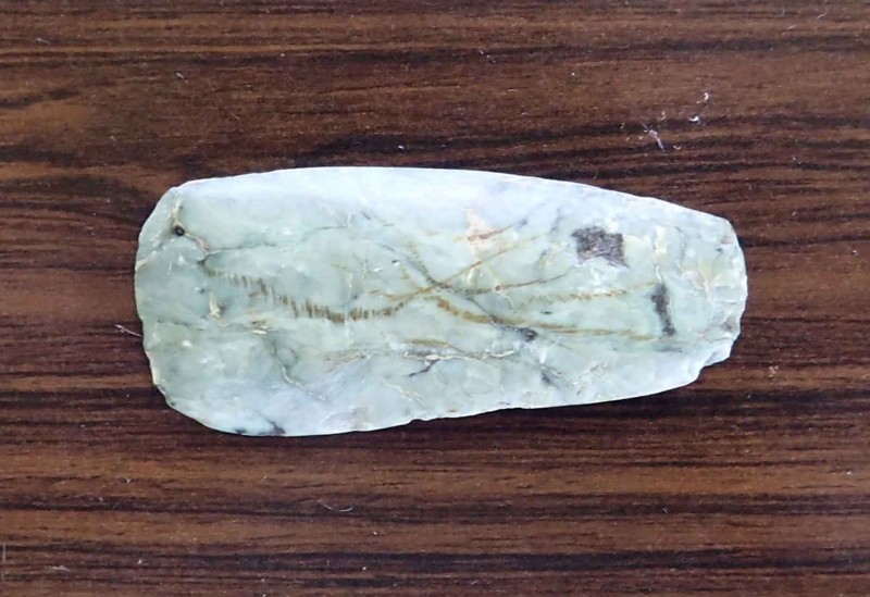 f:id:Naturalhistory:20150118111132j:image:w360 f:id:Naturalhistory:20150118111132j:image:w360