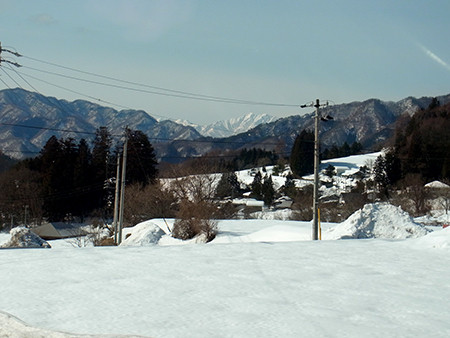 f:id:Naturalhistory:20150129111542j:image