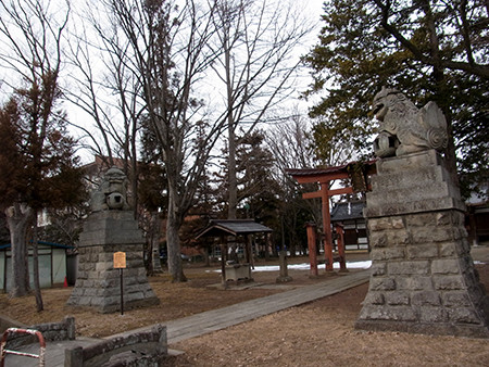 f:id:Naturalhistory:20150129151039j:image