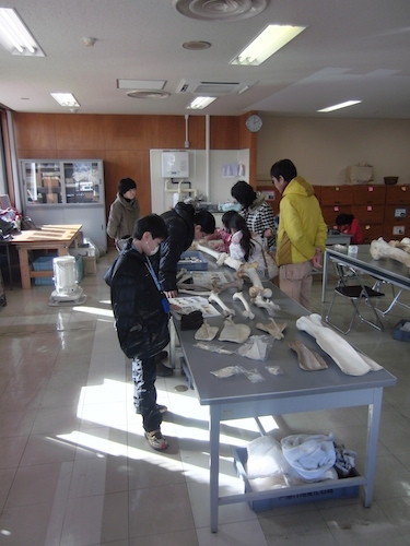 f:id:Naturalhistory:20150131140233j:image