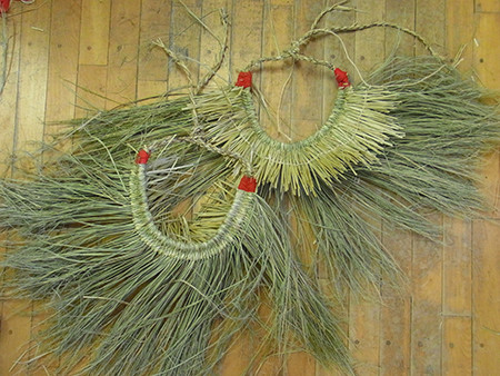 f:id:Naturalhistory:20150217170139j:image
