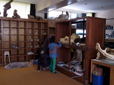 f:id:Naturalhistory:20150305135252j:image