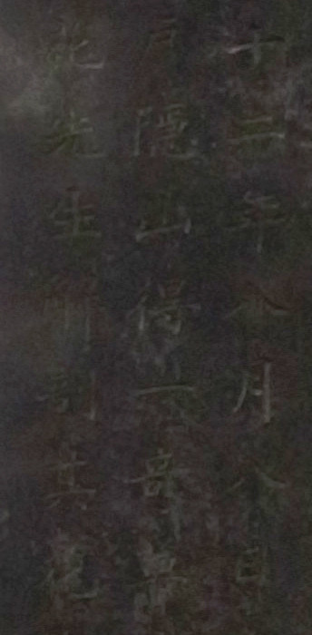 f:id:Naturalhistory:20150306124926j:image