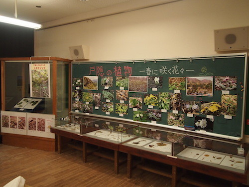 f:id:Naturalhistory:20150320172926j:image
